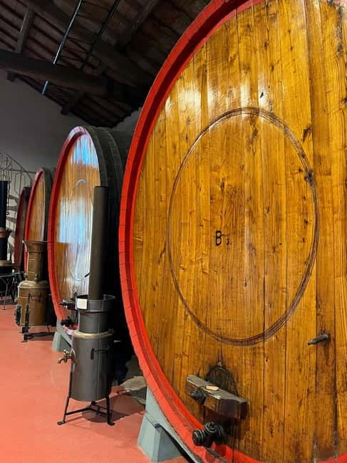Parmesan, Wine, Balsamic Full Day Tour with Lunch - Local wine and a three-course lunch
