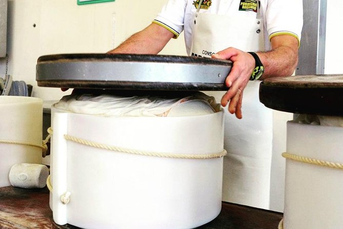 Parmigiano & Balsamic Artisans: In-Depth Private Tour and Tasting - Who should book this experience?