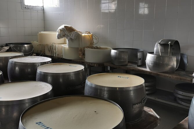Parmigiano, Prosciutto and Traditional balsamic Tour from Bologna - Is $349.19 a fair price?
