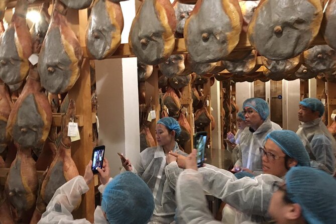 Parmigiano-Reggiano and Parma Ham Small Group Tour - Starting near Parma railway station