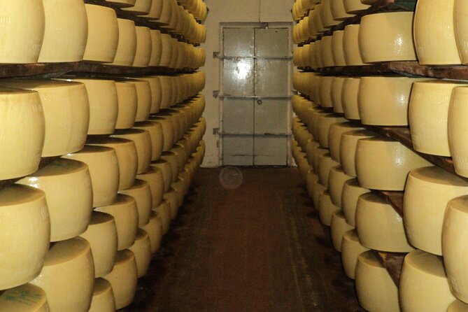 Parmigiano Reggiano and Parma ham tour - Key points to know before booking