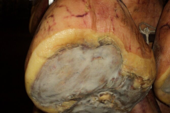 Parmigiano Reggiano and Parma ham tour - Why Parma is the right place for this food tour
