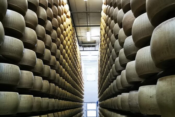 Parmigiano Reggiano, Balsamic Vinegar and fresh pasta tour - Cooperativa San Silvestro and the making of Parmigiano