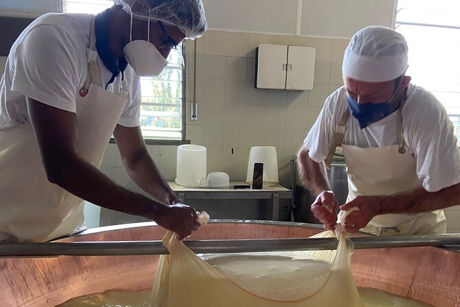 Parmigiano-Reggiano Cheese Factory Small group Tour From Parma - What the three-hour format feels like