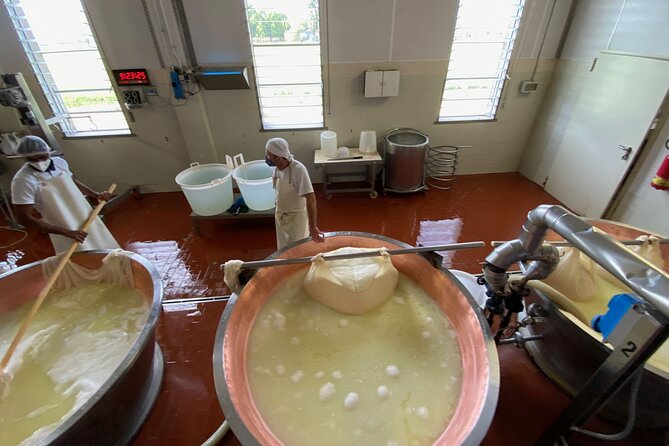 Parmigiano-Reggiano Cheese Factory Small group Tour From Parma - Communication is the main practical risk
