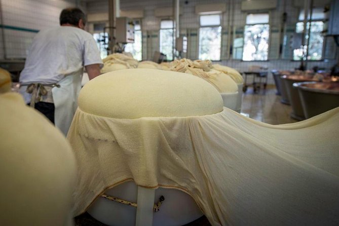 Parmigiano Reggiano Cheese Factory Tour & Tasting Experience - Tasting three ages of Parmigiano Reggiano