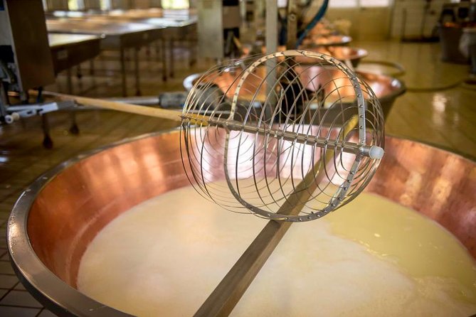 Parmigiano Reggiano Cheese Factory Tour & Tasting Experience - Balsamic vinegar, salami, and Lambrusco