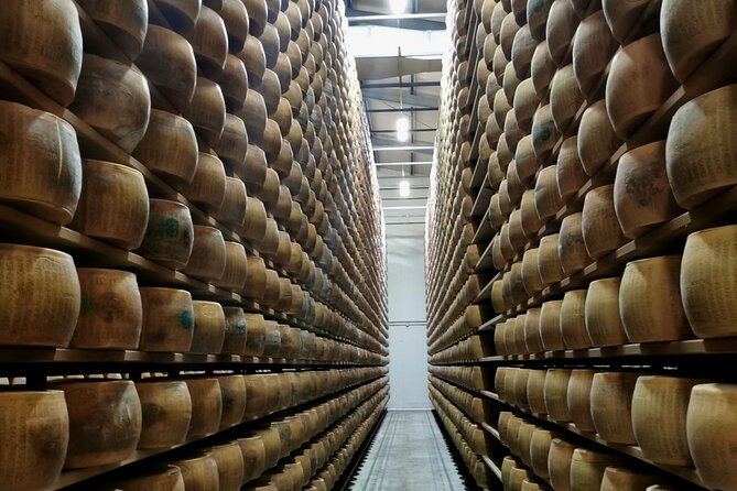 Parmigiano Wine and Balsamic Vinegar Experience from Bologna - Key points to know before booking