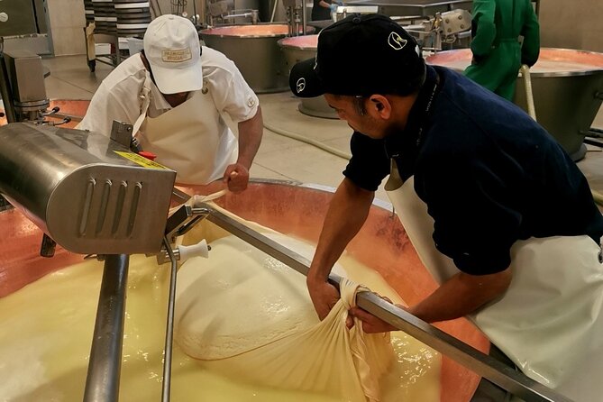 Parmigiano Wine and Balsamic Vinegar Experience from Bologna - Parmigiano Reggiano and fresh ricotta at Azienda Agricola Moscattini