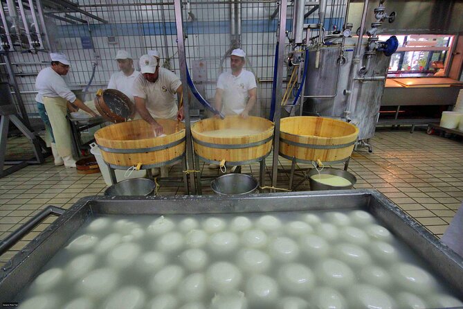 Pastum and Buffalo Mozzarella Drive - Why Paestum makes a good day from Naples