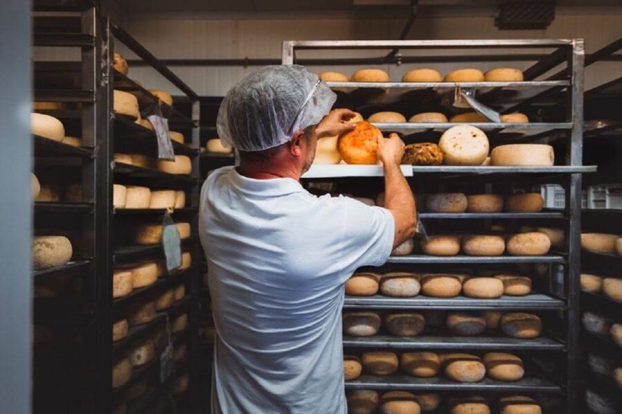 Pienza: Dairy Farm Tour with Pecorino Cheese Tasting - Key points before you book