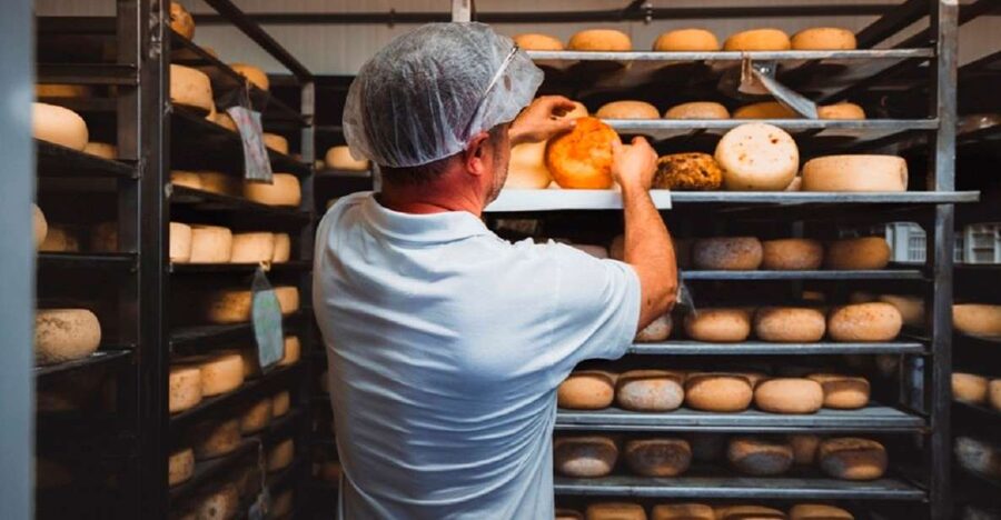 Pienza: Dairy Farm Tour with Pecorino Cheese Tasting - What happens during the farm visit