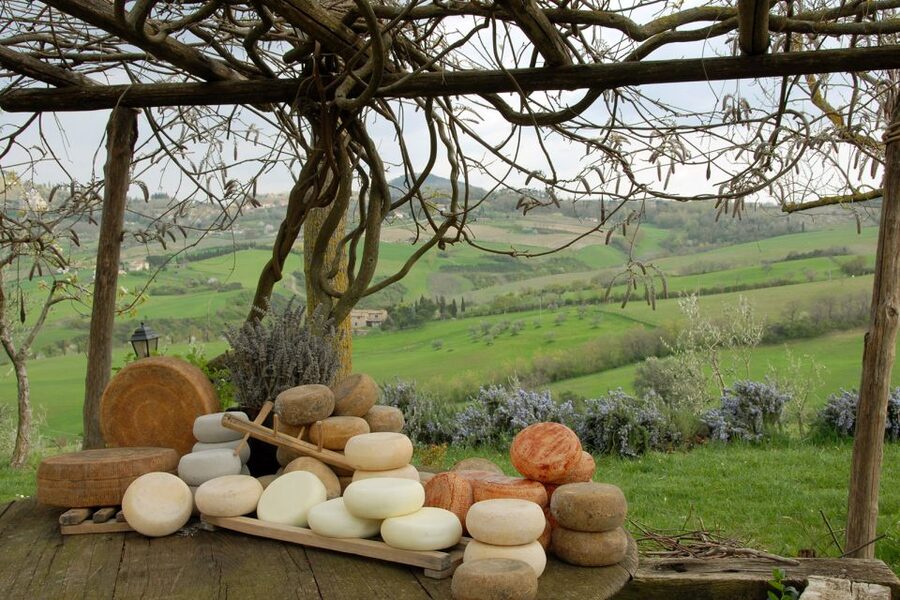 Pienza: Dairy Farm Tour with Pecorino Cheese Tasting - Is two hours enough?