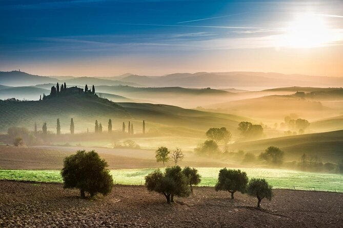 Pienza, Val d'Orcia, Montalcino wine and Pecorino cheese PRIVATE TOUR from SIENA - Key points at a glance