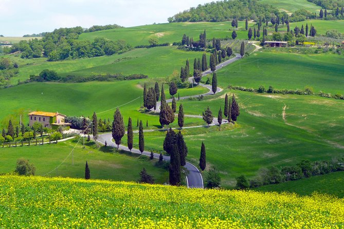 Pienza, Val d'Orcia, Montalcino wine and Pecorino cheese PRIVATE TOUR from SIENA - Why this private Siena day works so well