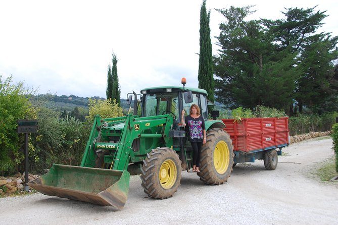 Pienza, Val d'Orcia, Montalcino wine and Pecorino cheese PRIVATE TOUR from SIENA - Who should book this tour