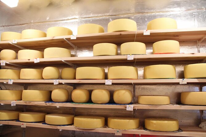Pisa, Lucca & Cheese Farm with wine tasting Private Tour - The schedule, comfort, and practical limits