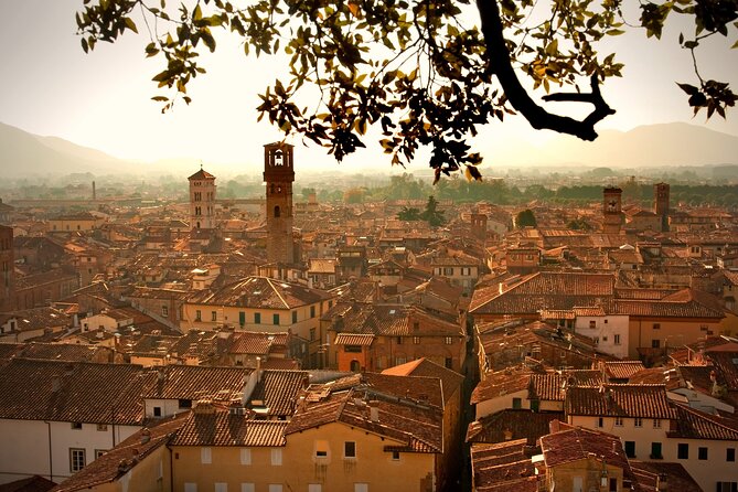 Pisa, Lucca & Cheese Farm with wine tasting Private Tour - The road through the Tuscan countryside