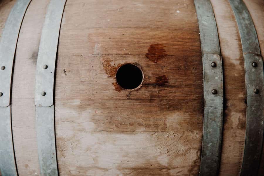 Pokolbin: Cheese and Barrel Wine Tasting at Audrey Wilkinson - Cheese from local producers gives the wine a purpose