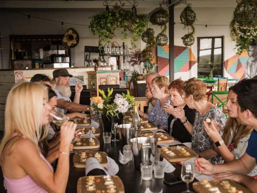 Pokolbin: Hunter Valley Half-Day Tour with Cheese and Wine - The two boutique wineries that follow