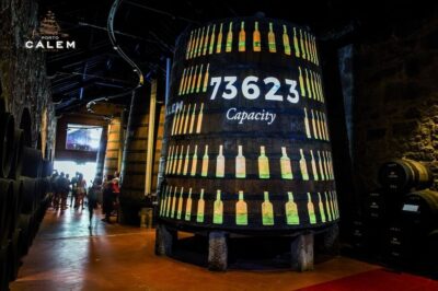 Cálem Cellar with Chocolate, Cheese, and Wine Tasting