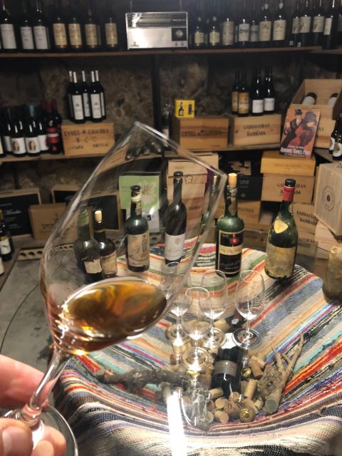 Porto: Cheese and Port Wine Tasting in a Unique Place - Why cheese and port work so well together