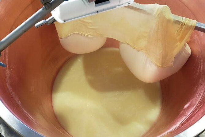 Private Balsamic vinegar & Parmigiano Reggiano factory visits - The private format and Isadora’s guiding