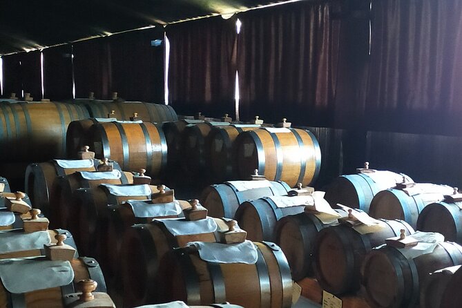 Private Balsamic vinegar & Parmigiano Reggiano factory visits - Starting among Modena’s hills