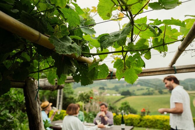Private Basque Cheese & Txakoli Wine Tour from San Sebastian - Aia and the Real Character of Idiazabal Cheese