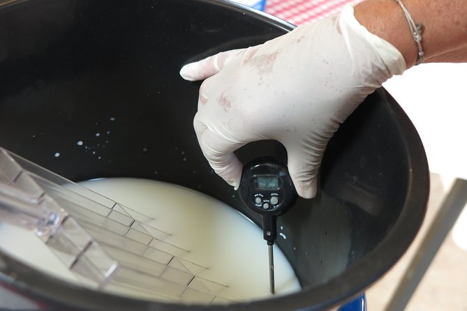 Private Farmhouse Cheesemaking Workshop - The opening lesson on Boerenkaas