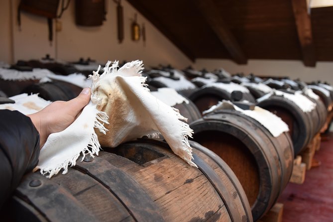 Private Full Day Parma Food Tour: Parmesan Cheese, Parma Ham, Lunch, Vinegar - The guides are a major part of the value