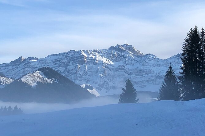 Private Guided Swiss Alps Day Trip from Zurich with Hotel Pick-Up - Appenzell village, painted facades, and local shopping