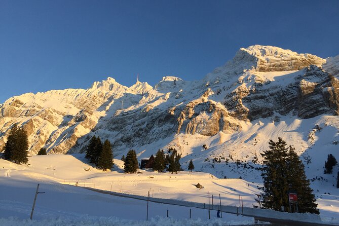 Private Guided Swiss Alps Day Trip from Zurich with Hotel Pick-Up - How much personal attention do you really get?
