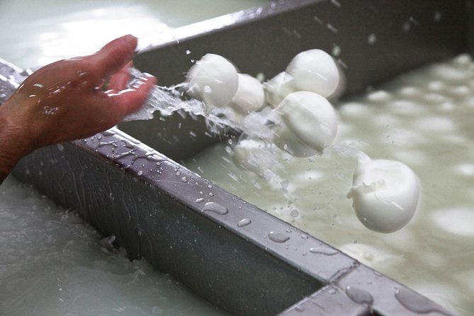 Private guided tour of Paestum and Buffalo Mozzarella farm lunch - Who gets the best value from this day?