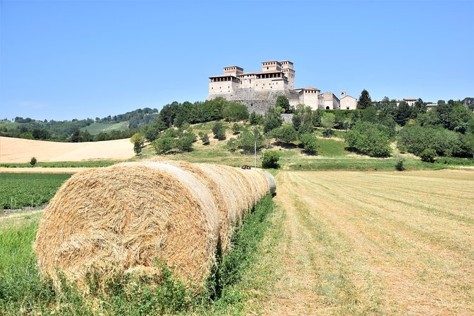 Private Half Day Parma Food Tour: Parmesan Cheese, Parma Ham, Lunch - A three-course lunch with Lambrusco and Malvasia