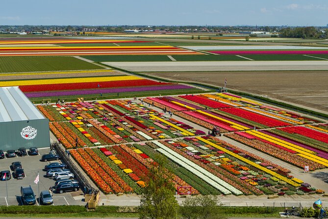 Private Keukenhof, Gardens, Windmills, cheese tour from Amsterdam - Wooden shoes: a quick demonstration with shopping attached