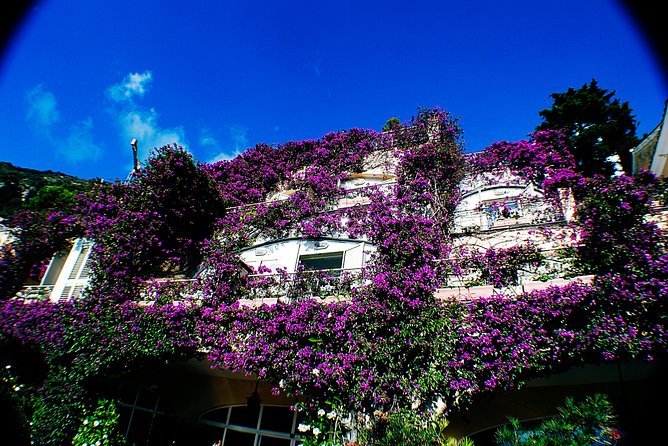 Private Pompeii, Sorrento & Mozzarella Making Tour from Naples - Why this Naples day trip works
