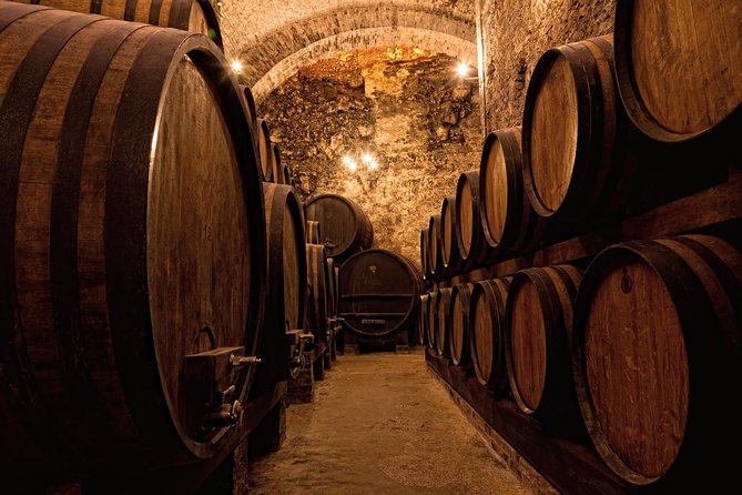 Private Porto Half Day Tour: Port Wine Cellars and Cheese Tasting - Guide quality and language expectations