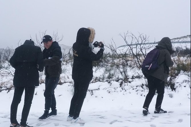 Private Serra da Estrela Gastronomy & Snow Tour from Porto - Lagoa Comprida and the route into the high country