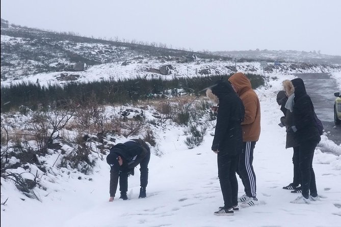 Private Serra da Estrela Gastronomy & Snow Tour from Porto - Torre at 1,993 metres