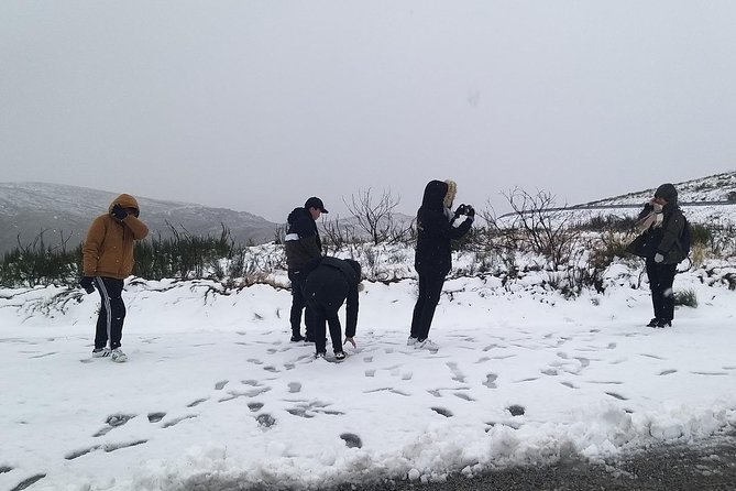 Private Serra da Estrela Gastronomy & Snow Tour from Porto - Pinhanços and the hands-on cheese tradition