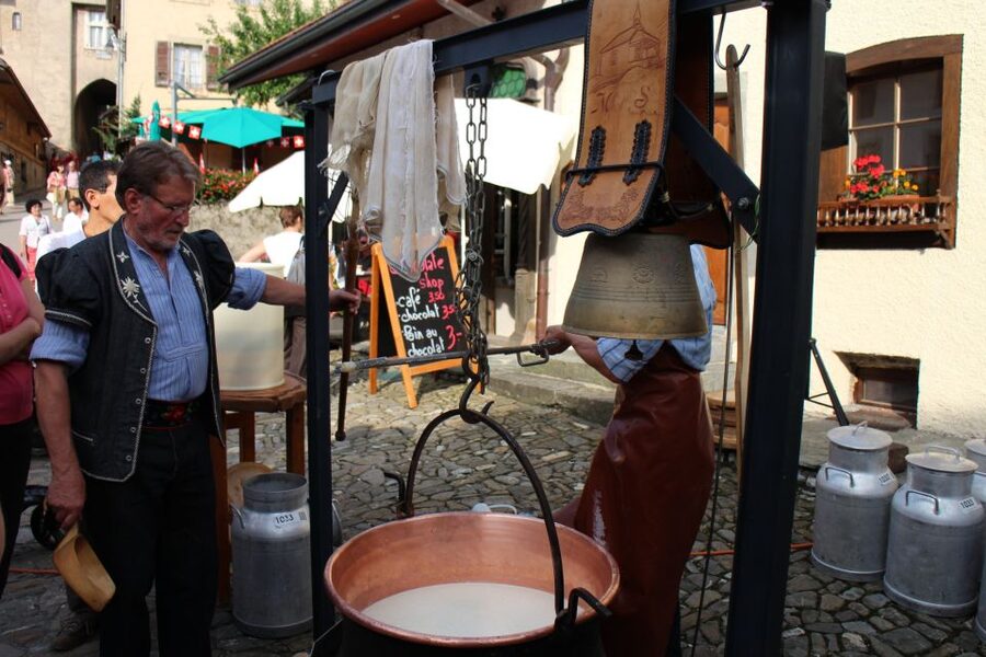 Private Swiss Cheese & Chocolate Tasting Trip in Gruyeres - Who should book this Gruyeres day trip?