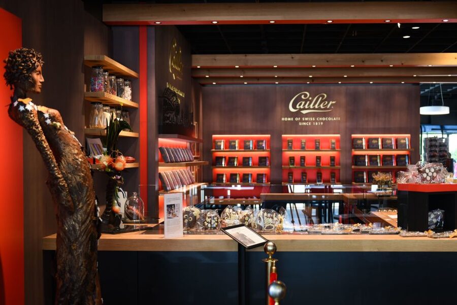 Private Swiss Cheese & Chocolate Tasting Trip in Gruyeres - Should you book it?