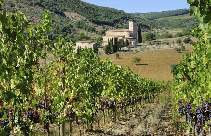 Private Tour: Pienza and Montalcino Organic Cheese and Wine Tour - Key points at a glance