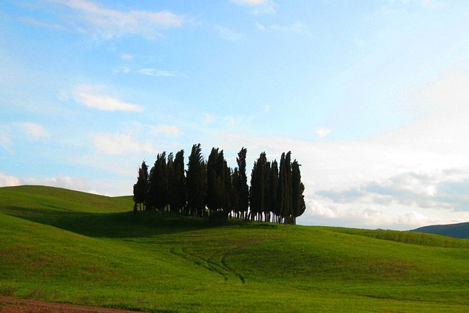 Private Tour: Pienza and Montalcino Organic Cheese and Wine Tour - A full Tuscan day without the driving