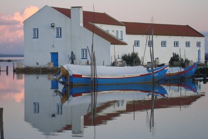 Private Tour to Arrabida with Wine and Cheese Tasting at the Mourisca Tide Mill - Lunch in Setúbal: choco frito or grilled fish