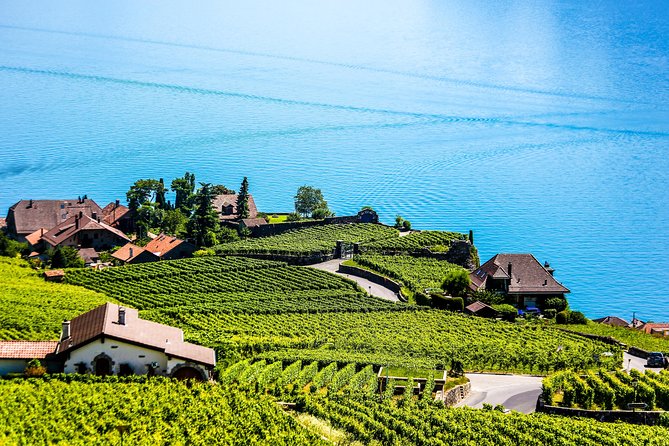 Private Tour to Gruyères, Chocolate & Cheese Factory from Geneva - From Broc to Gruyères through the green fields