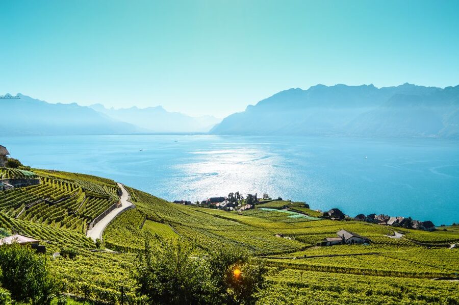 Private Tour to Gruyeres with Cheese and Chocolate Factory - What the private format is worth at $511