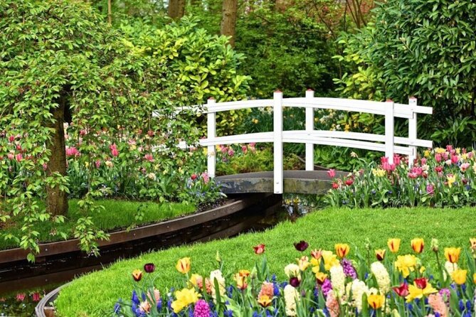 Private Tour to Tulips, Keukenhof, Windmills & Cheese Farm - What your driver adds, and what is not included