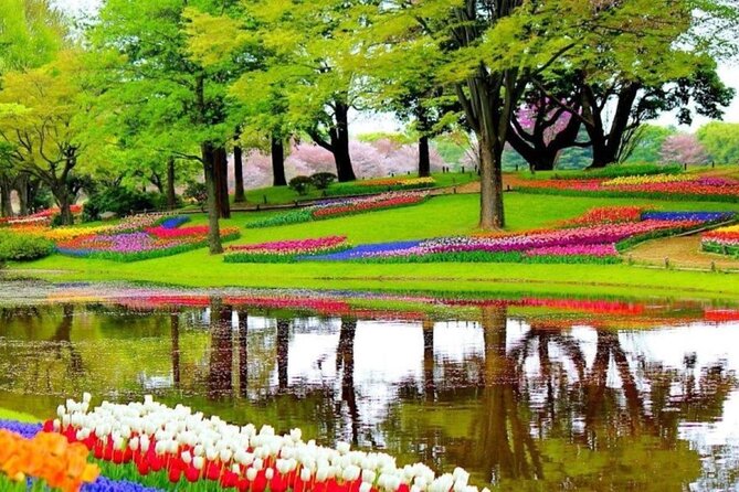 Private Tour to Tulips, Keukenhof, Windmills & Cheese Farm - Keukenhof gives you the grand flower display
